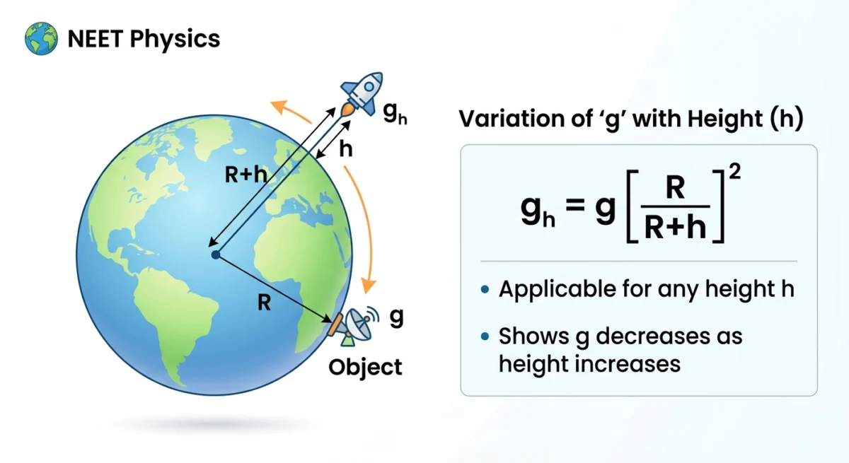 Illustration for Variation of Acceleration Due To Gravity for NEET: Height, Depth and Latitude: When an object is at a height ##h## above the surface, the new acceleration ##g_h## is calculated using the...